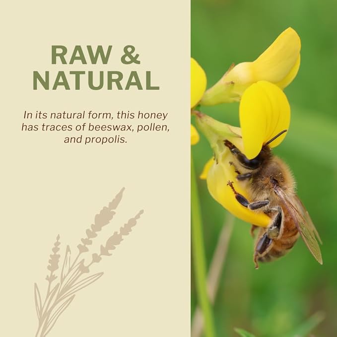 Oneroot 100% Canadian Wildflower Honey - 6.6 lbs, Unheated & Creamed - Nutrient-Rich, Natural Sweetener with Enzymes - Thick & Pure Raw Unfiltered Honey