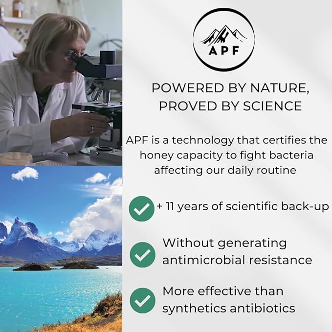 Ulmo Rainforest Raw Honey by TERRA ANDES PLUS | APF 100+ Pure Honey, 17.6 oz