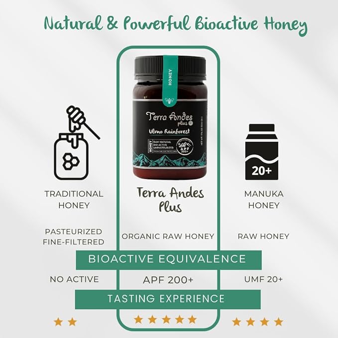 Ulmo Rainforest Raw Honey by TERRA ANDES PLUS | APF 150+ Pure Honey, 8.8 oz