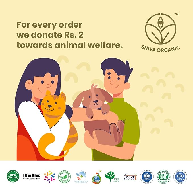 Shiva Organic Ginger Infused Honey - 100% Natural and Pure Organic Honey - GMP Certiied, 8.81 Ounces (250g)