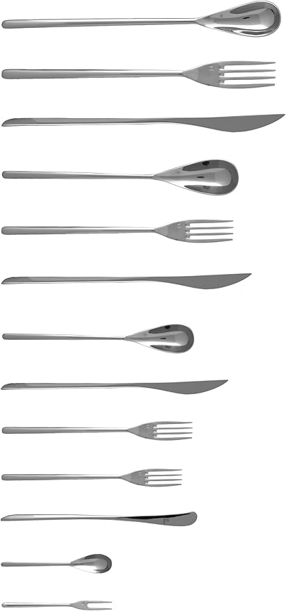 Fortessa Dragonfly 18/10 Stainless Steel Flatware 10-Inch Table Fork, X-Large, Set of 12