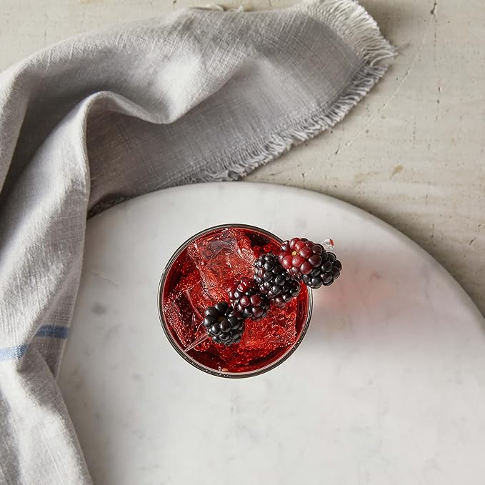 DaVinci Gourmet Classic Blackberry Syrup, 25.4 Fluid Ounces (Pack of 1)