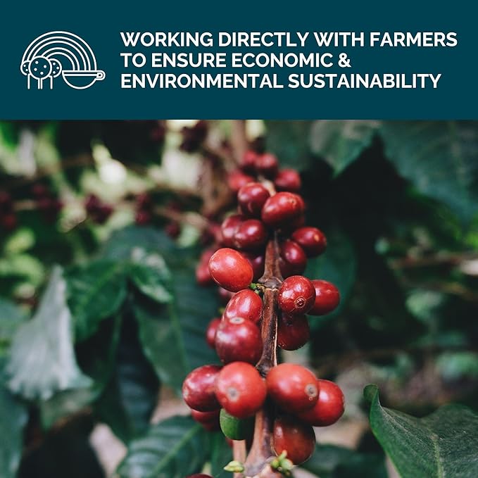 Stone Creek Coffee Dark Roast Ground Coffee – 2 LB (Pack of 1) – Smooth and Chocolatey Fresh Roasted Coffee Beans with Rich and Fruity Tasting Notes, 3 Volcanoes Dark Guatemala