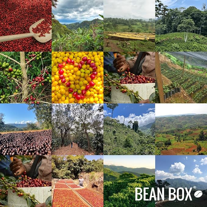 Bean Box Coffee Sampler - Explore Colombia, 2-Pack, Freshly Ground, Gourmet Coffee