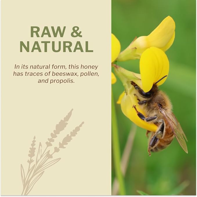 Oneroot 100% Organic Canadian Wildflower Honey - 17.6 Oz/1.1 Lbs, Unheated & Creamed - Nutrient-Rich, Natural Sweetener with Enzymes - Thick & Pure Raw Unfiltered Honey