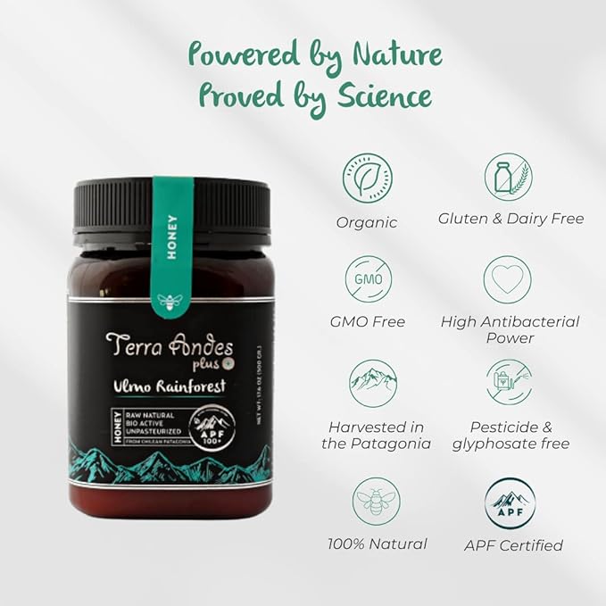 Ulmo Rainforest Raw Honey by TERRA ANDES PLUS | APF 100+ Pure Honey, 17.6 oz