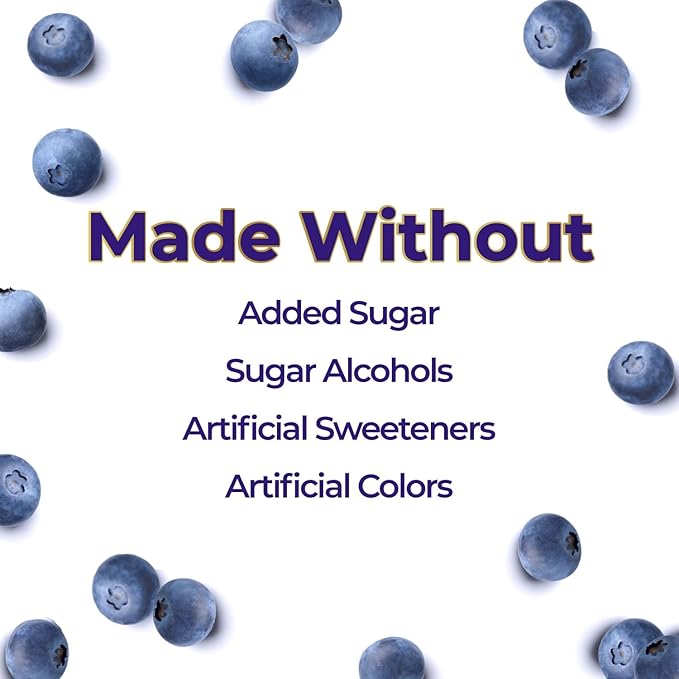 ChocZero Keto Blueberry Fruit Spread, No Added Sugar, Low Carb, All Natural Jam, Sweetened with Monk Fruit (1 jar, 12 oz)