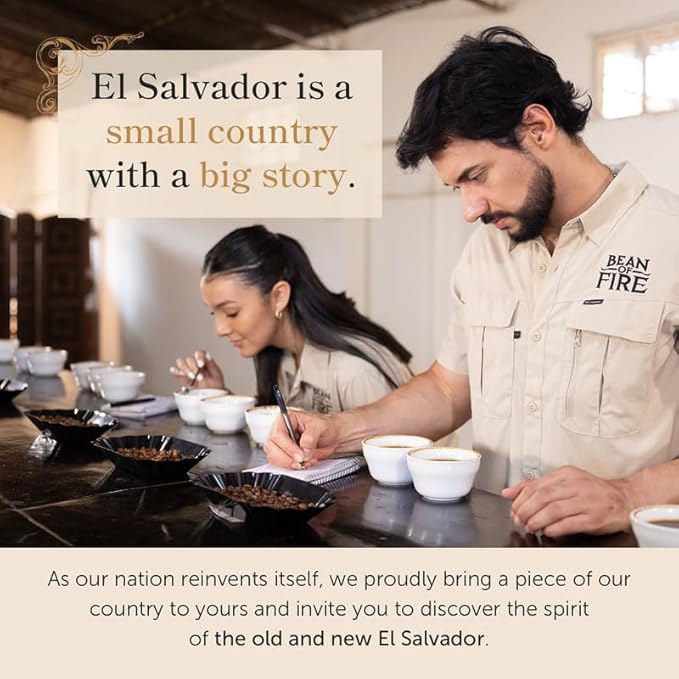 Bean of Fire | Ethiopian | Coffee Washed | 16 oz | Chocolate | Citrus Notes | Sugar Cane & Black Grapes | Floral Complexity | Ground Coffee