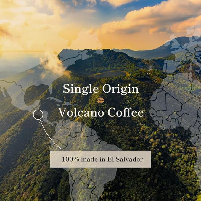 Bean of Fire El Salvador Red Bourbon Natural Ground Coffee – Medium Roast, Single Origin Specialty, Smooth & Fruity Cup (16 oz)