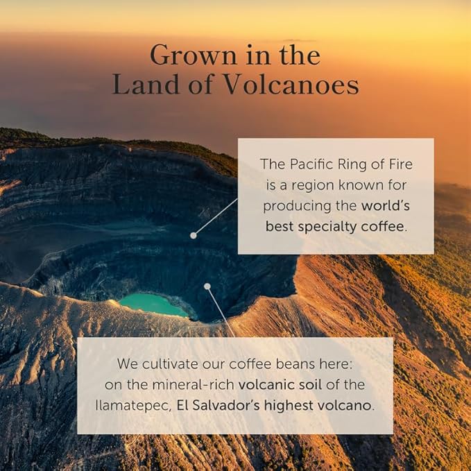 Bean of Fire El Salvador Red Bourbon Washed Ground Coffee – Medium Roast, Single Origin Specialty, Smooth & Fruity Cup (16 oz)