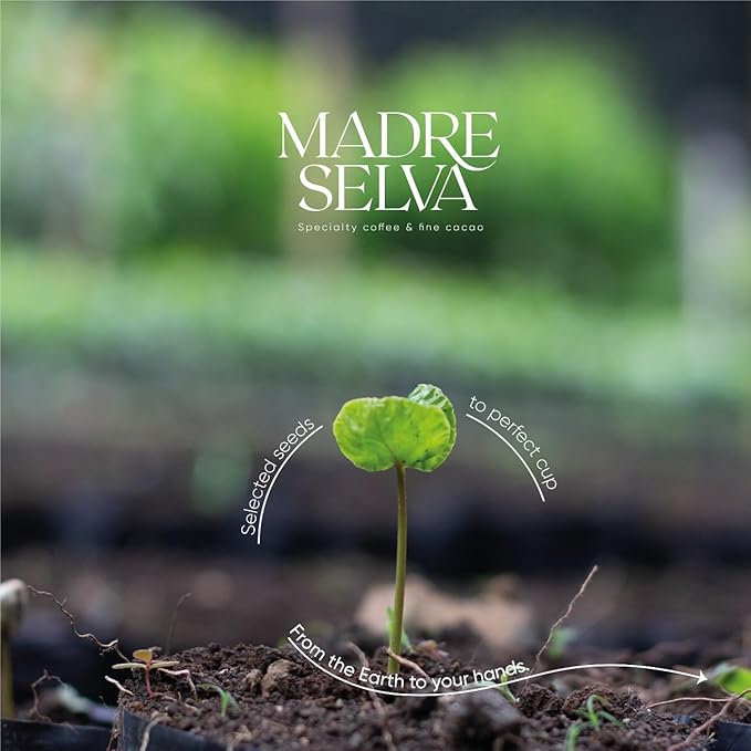 Colombian Specialty Coffee Whole Bean Medium Roast Arabica Bourbon Variety Gourmet Fresh Roasted Low Acid Balanced Flavor Rich Aroma Smooth Notes Single Origin High Altitude Gift Ready 8.8oz 250g