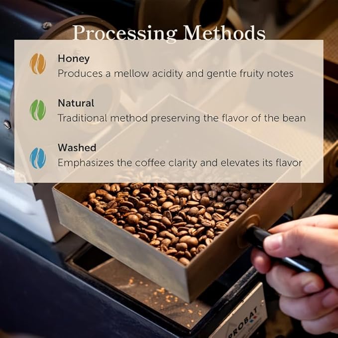 Bean of Fire El Salvador Red Bourbon Natural Ground Coffee – Medium Roast, Single Origin Specialty, Smooth & Fruity Cup (16 oz)