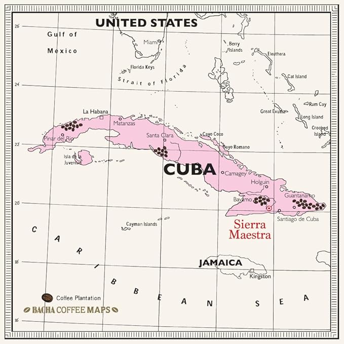 Bacha Coffee | Turquino Cuba Single Origin, 100% Arabica Specialty Coffee Beans, Medium Dark Roast, x12 Individually Wrapped Single Serve Filter Bags