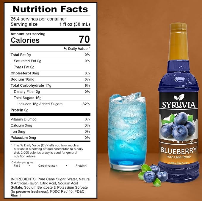 Syruvia Blueberry Syrup For Drinks 25.4 Ounces Blueberry Flavoring Syrup With Pump