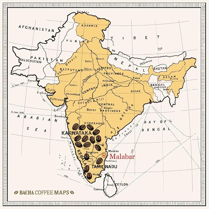 Bacha Coffee | Monsoon Secret India Single Origin, 100% Arabica Specialty Coffee Beans, Medium Dark Roast, x12 Individually Wrapped Single Serve Filter Bags