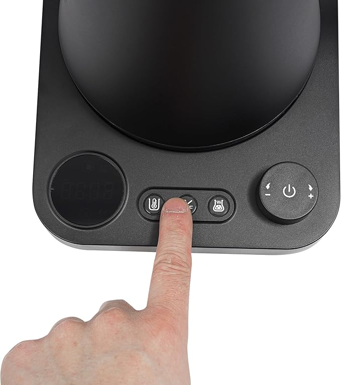 Electric Gooseneck Kettle (Black)