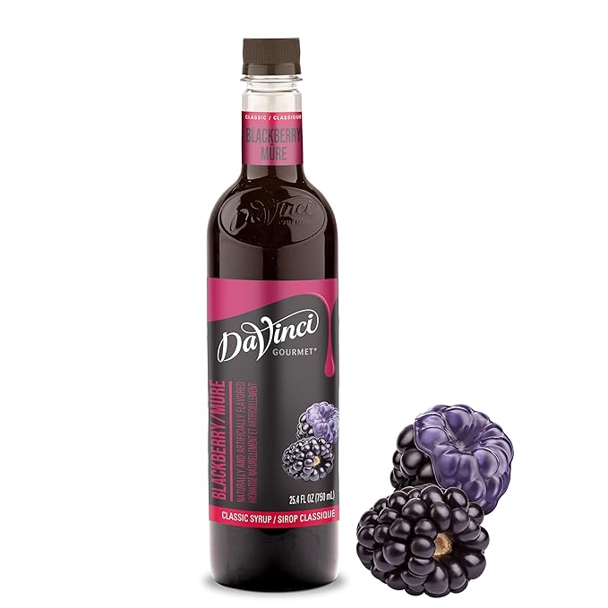 DaVinci Gourmet Classic Blackberry Syrup, 25.4 Fluid Ounces (Pack of 1)