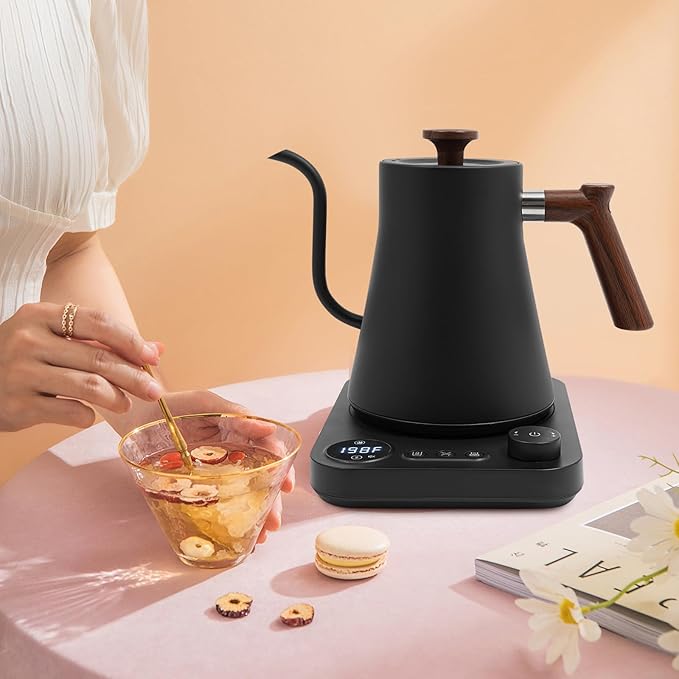 Electric Gooseneck Kettle (Black)