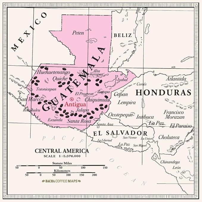 Bacha Coffee | Sierra Madre Guatemala Single Origin, 100% Arabica Specialty Coffee Beans, Medium Roast, x12 Individually Wrapped Single Serve Filter Bags