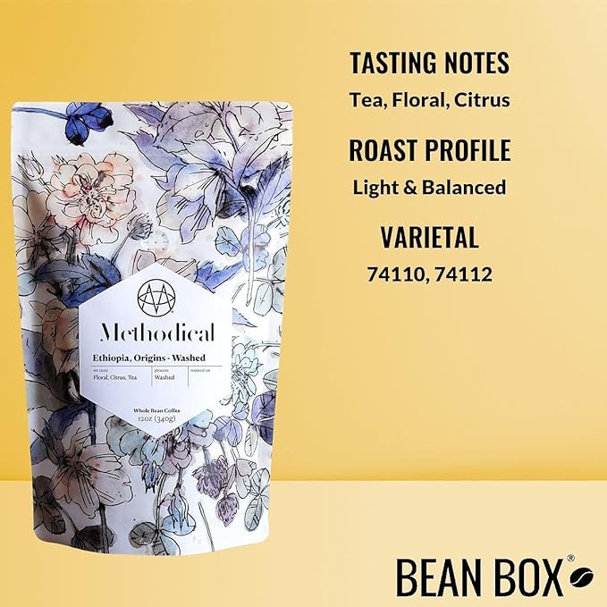Ethiopia Origins Washed - Roasted by Methodical Roasting - Whole Bean Coffee - 2 Pound Bag