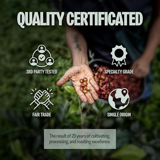 BAZAN COFFEE – Vietnamese Specialty Arabica Cau Dat, Medium Roast Whole Bean Coffee, Single Origin, Floral & Warm Spice Notes, Low Acidity, Perfect with Milk or Black, 12oz Bag