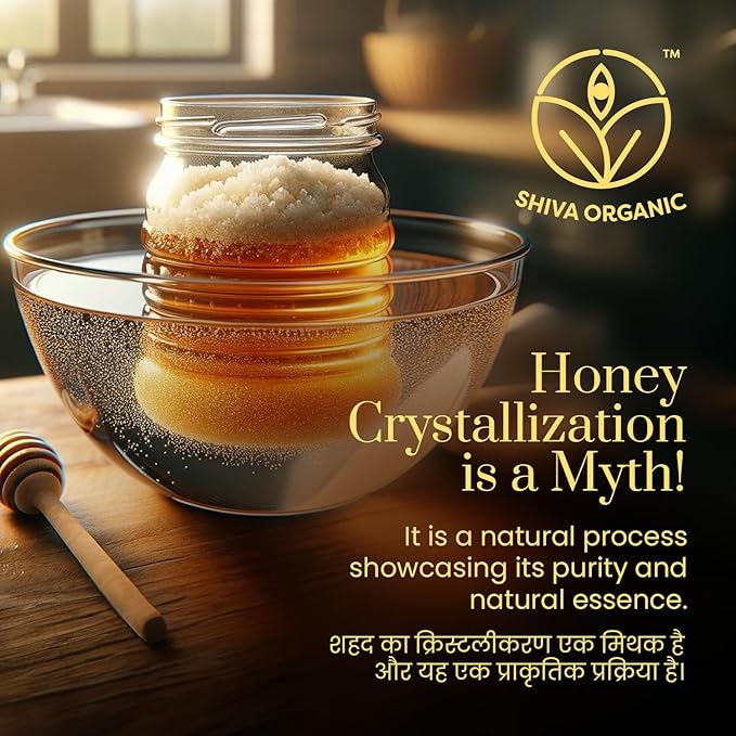 Shiva Organic Ginger Infused Honey - 100% Natural and Pure Organic Honey - GMP Certiied, 8.81 Ounces (250g)