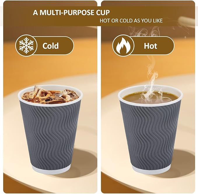 100 Pack 12 oz Disposable Coffee Cups with Lids, Insulated Ripple Wall To-Go Paper Coffee Cups Suitable for Chocolate Cocoa and Hot/Cold Drinks (Grey)