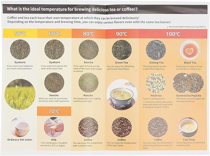 Electric Gooseneck Kettle (White)