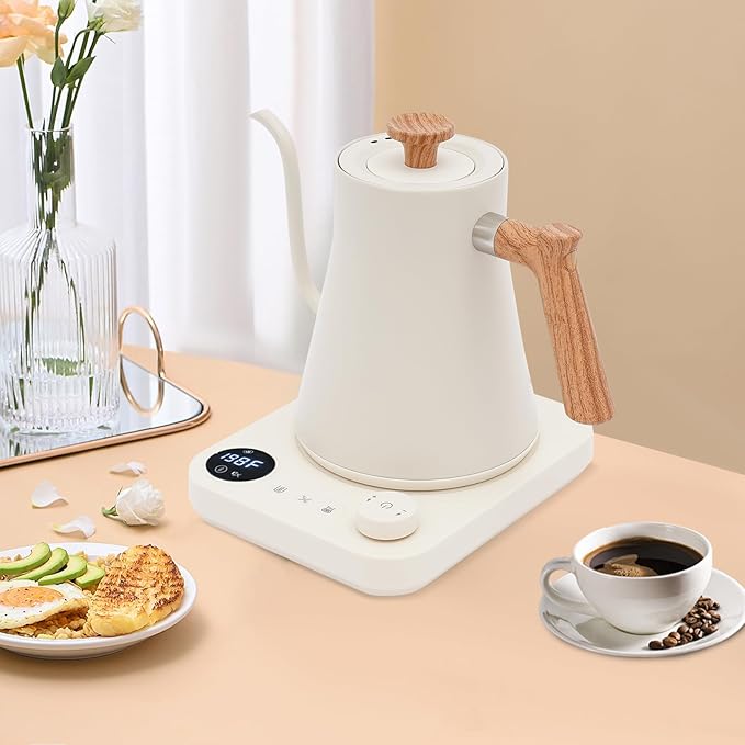 Electric Gooseneck Kettle (White)