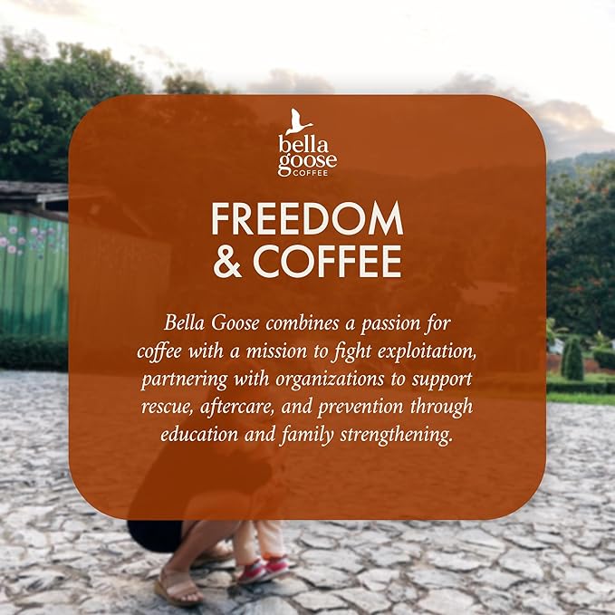 Bella Goose Pumpkin Syrup (16oz) - Homemade Pure Cane Sugar Syrup for Lattes, Matcha, Desserts & Ice Cream - Clean Ingredient - No Artificial Flavors, Dyes or Preservatives - Syrups for Coffee Drinks