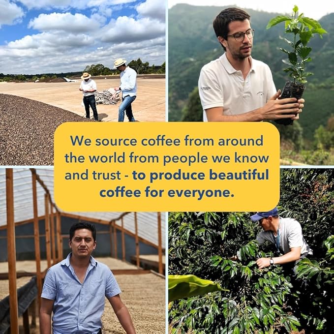 PARTNERS COFFEE ROASTERS - Whole Bean Coffee (Manhattan - Dark Roast) 12oz - Rich, Deep, & Flavorful Omniroast - Baker's Chocolate, Caramel, Maple Syrup - Coffee Beans - Roasted in New York City