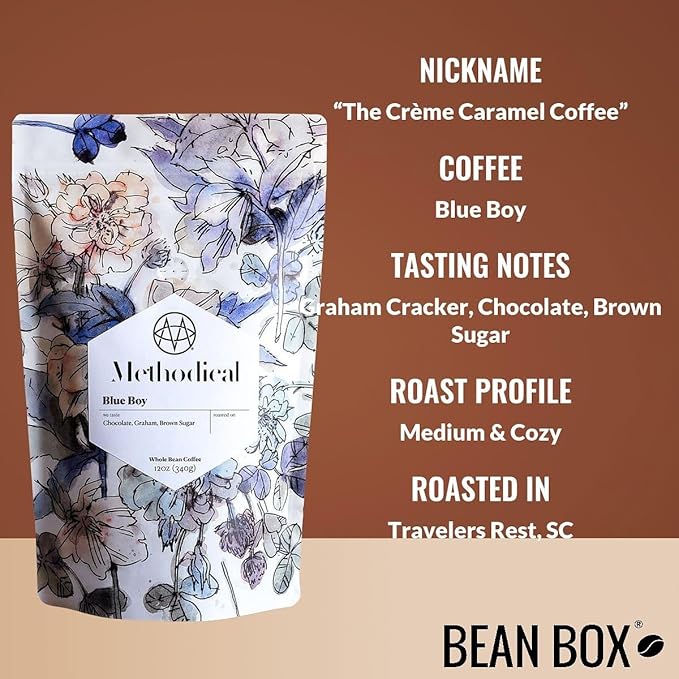 Bean Box Sampler - Roasted by Methodical Roasting, 3-Pack, Whole Bean Coffee, Gourmet Coffee