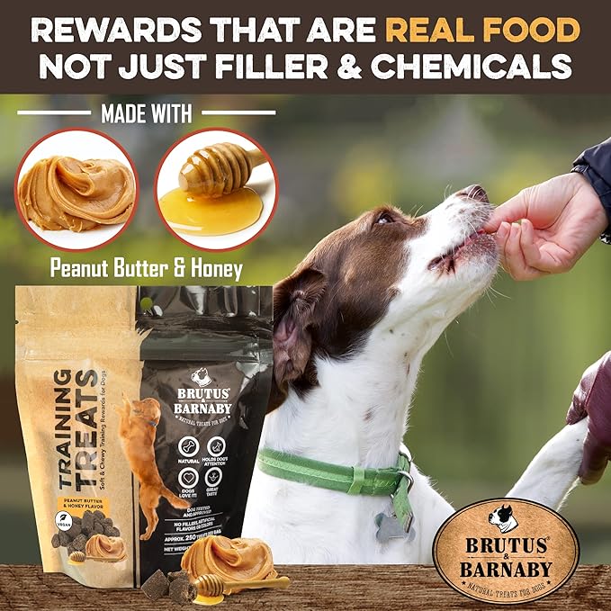 BRUTUS & BARNABY Training Treats for Dogs - Peanut Butter & Honey - All-Natural Healthy Low Calorie Vegetarian Treat - Great to Use for Rewards in Training Your Puppy Or Dog
