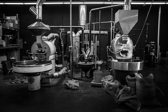 Caffe D'arte Campania Whole Bean Coffee, Dark Roast, Bold & Robust with Chocolate Notes, Fresh Roasted in Seattle, 1 Pound Bag, Pack of 2