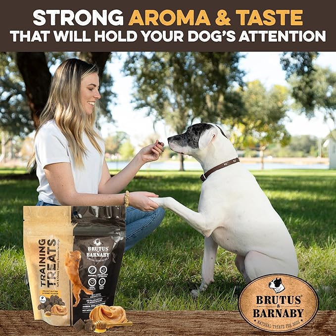 BRUTUS & BARNABY Training Treats for Dogs - Peanut Butter & Honey - All-Natural Healthy Low Calorie Vegetarian Treat - Great to Use for Rewards in Training Your Puppy Or Dog