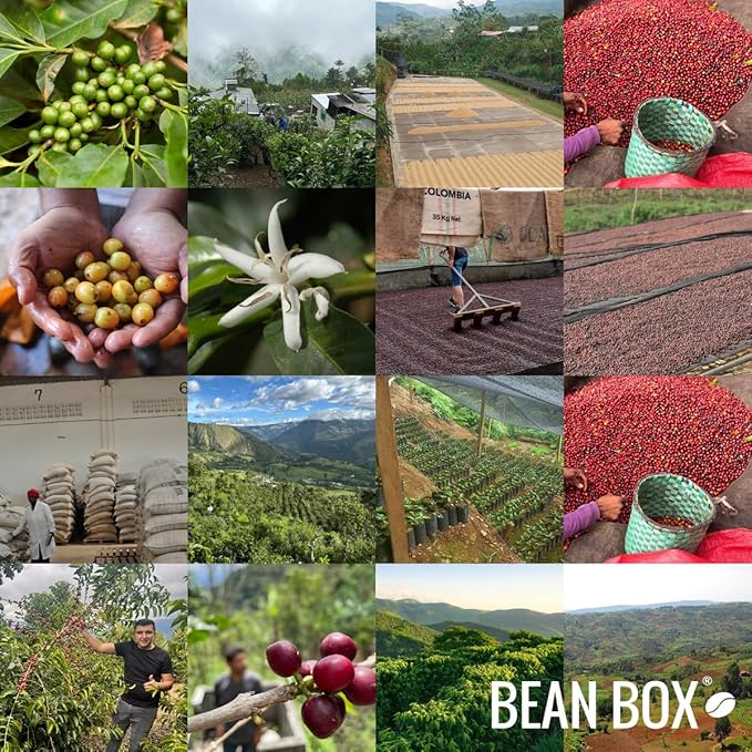 Bean Box Coffee Sampler - Espresso Roast, 2-Pack, Freshly Ground, Gourmet Coffee