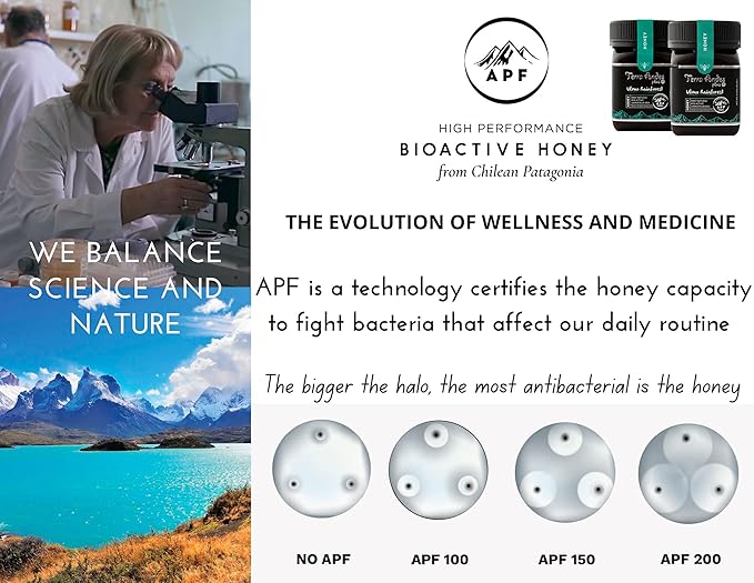 Ulmo Rainforest Raw Honey by TERRA ANDES PLUS | APF 100+ Pure Honey, 8.8 oz