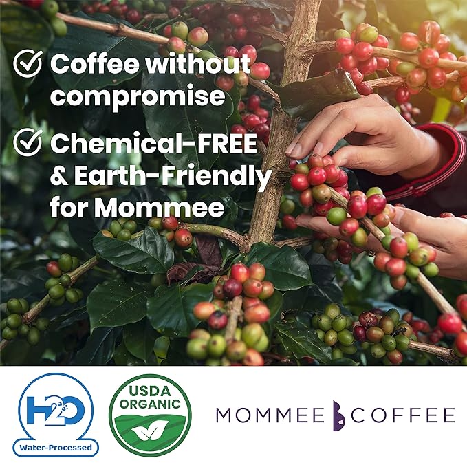Mommee Coffee - Decaf | Low Acid, Organic, Fair Trade, Water Processed | Whole Bean, 22 oz.