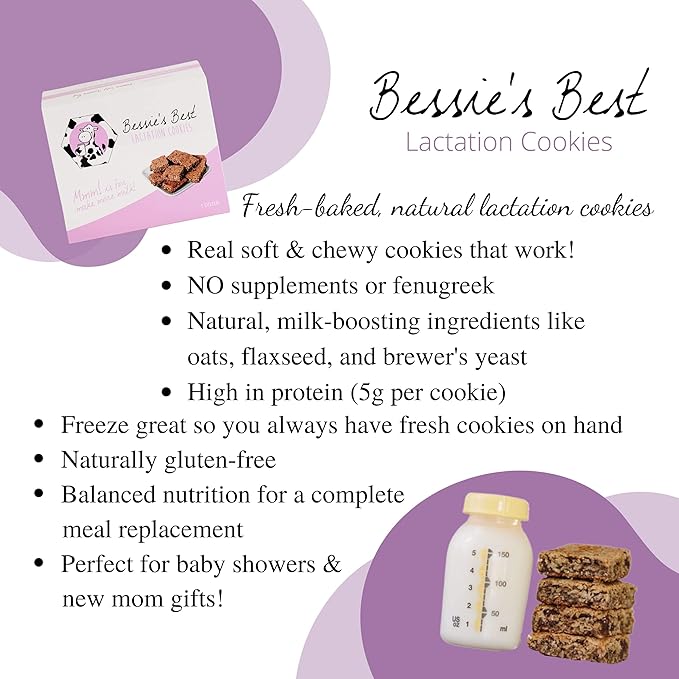 Bessie’s Best Lactation Cookies | Lactation Support | Oatmeal Peanut Butter Chocolate Chip | Increase Milk Supply | Breastmilk Boosting Cookies | Breastfeeding Snacks | 9 Count