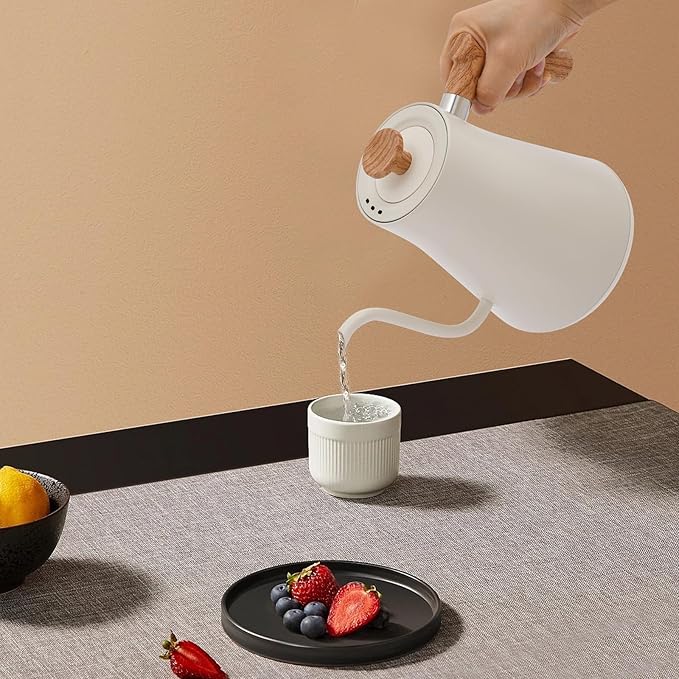 Electric Gooseneck Kettle (White)