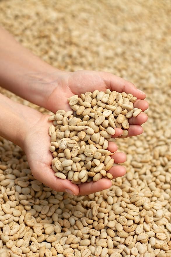 Colombian Specialty Pink Bourbon Coffee Whole Bean Medium Roast Arabica Gourmet Fresh Roasted Single Origin Premium Low Acid Exotic Notes Rich Aroma Smooth Flavor High Altitude Gift Ready 8.8oz 250g