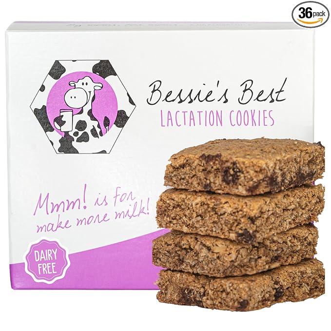 Bessie’s Best Lactation Cookies | Dairy Free Lactation Cookies | Oatmeal Peanut Butter Chocolate Chip | Increase Milk Supply | Breastmilk Boosting Cookies | Breastfeeding Snacks | 3 Dozen
