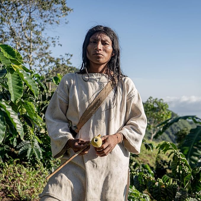 The Younger Brothers Trading Co. Kogi Coffee | Indigenous Wild Grown Whole Bean | Ethically Sourced Single Origin Colombian Coffee | Kogi Sauna Family Medium Roast, 12 Ounce (Pack of 1)