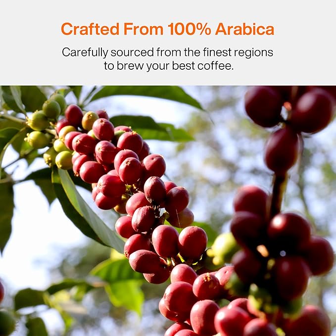 SATURNBIRD Specialty Instant Coffee, 6-Flavor Sample Pack, Instant Cold Brew Iced Coffee, Light/Medium/Dark Roast, 100% Arabica, Freeze Dried, 6 Single Serve Packets for Travel Gifts On-the-Go