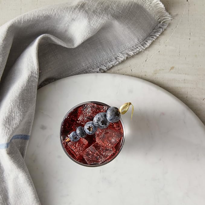 DaVinci Gourmet Classic Blueberry Syrup, 25.4 Fluid Ounces (Pack of 1)