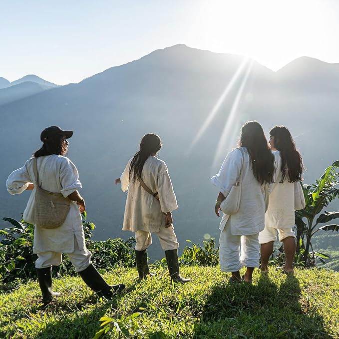 The Younger Brothers Trading Co. Kogi Coffee | Indigenous Wild Grown Whole Bean | Ethically Sourced Single Origin Colombian Coffee | Kogi Sauna Family Medium Roast, 12 Ounce (Pack of 1)