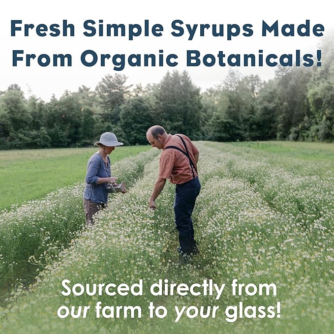 Bluestem Botanicals Organic Rosemary Simple Syrup, 8 oz, Cocktail and Mocktail Mixer for Drinks, Non-Alcoholic