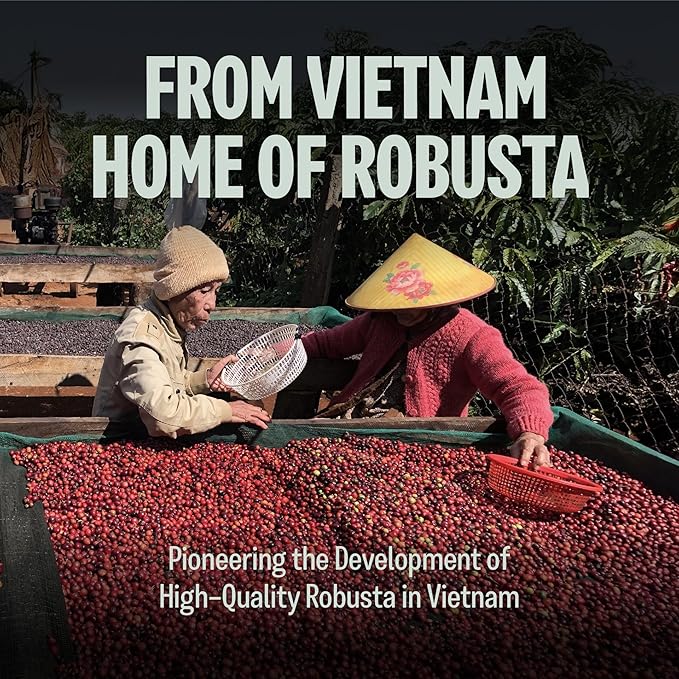 BAZAN COFFEE – Vietnamese Fine Robusta, Premium Medium Roast Whole Bean, Single Origin Specialty Coffee, 100% Natural, Anaerobic Fermented, Tropical Flavor Notes of Durian, Honey & Caramel, 12oz Bag