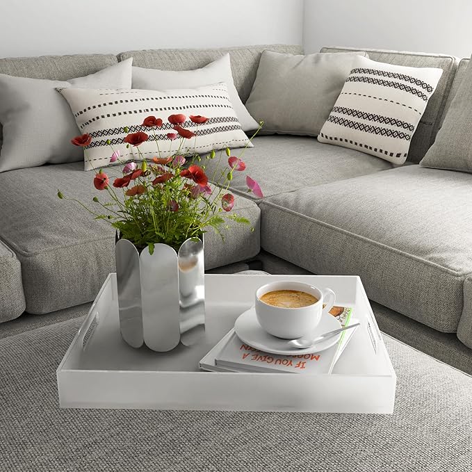 16"x12" Large Acrylic Serving Tray Decorative Ottoman Coffee Table Vanity Tray Tea Fruit Platter Snack Appetizer Dessert Drink with Handles for Bar Kitchen Party, Frosted