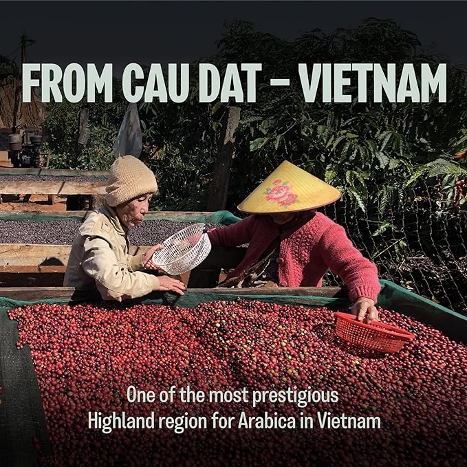 BAZAN COFFEE – Vietnamese Specialty Arabica Cau Dat, Medium Roast Whole Bean Coffee, Single Origin, Floral & Warm Spice Notes, Low Acidity, Perfect with Milk or Black, 12oz Bag
